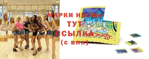 стаф Майский