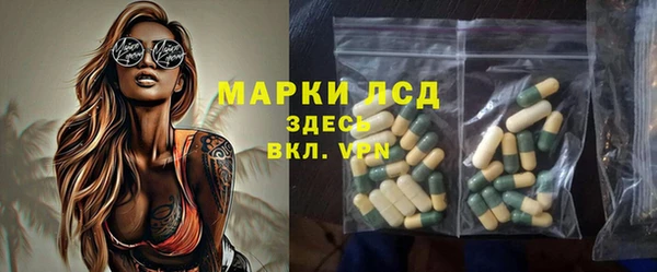 стаф Майский